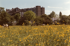 854595 Gezicht op het (bloeiende) weiland aan de Alexander Numankade te Utrecht, met links het hoofdgebouw van de ...